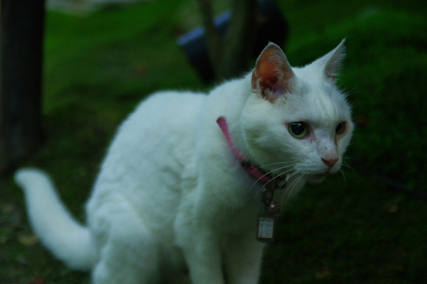 IMGP3776