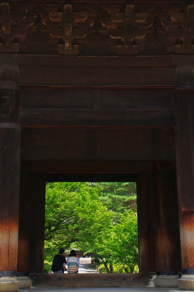 IMGP2982