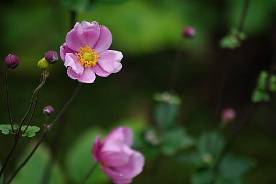 6a20e4f3.jpg