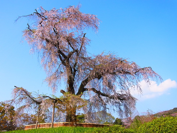 R0011158