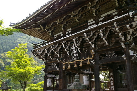 IMGP0098.jpg