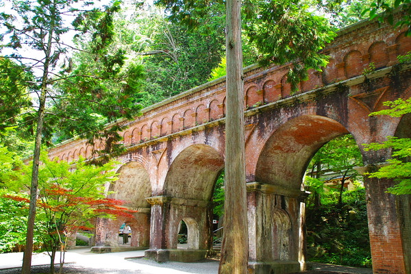 IMGP3007
