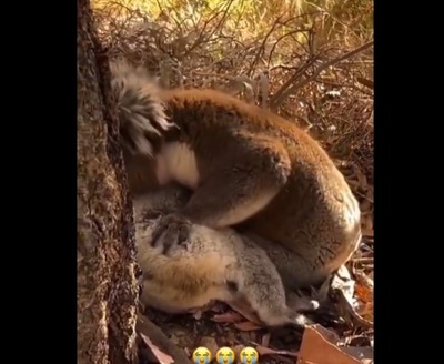 2025y04m28d_160943810