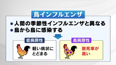 img_659f8d9d0fe72b83524eabd85b056f11520743