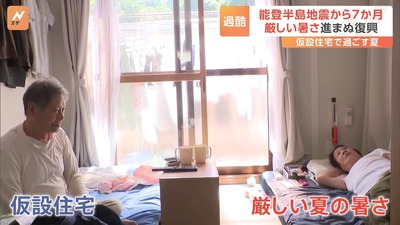 thumb-12198-3259265-domestic