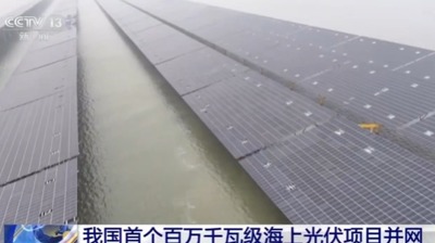 2024y11m26d_101859724