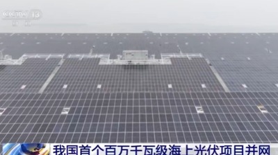 2024y11m26d_101857444