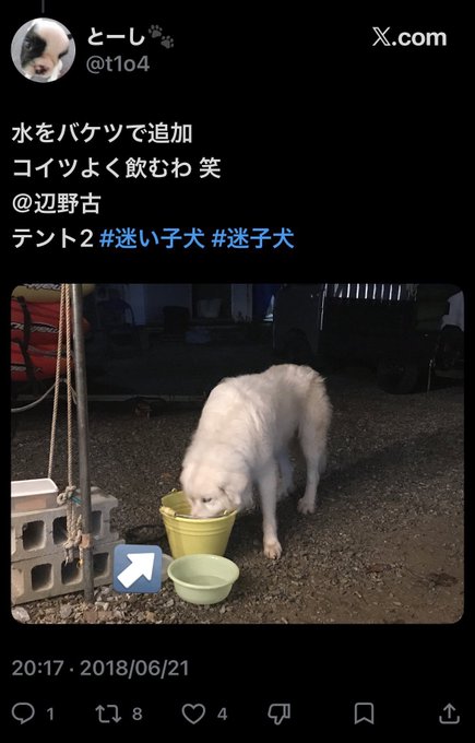 【辺野古転覆】抗議テント内にバケツを置いただけの献花台設置→取材が終わった途端に地面に置かれていたことが判明