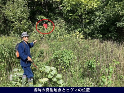 当時の発砲地点とヒグマの位置