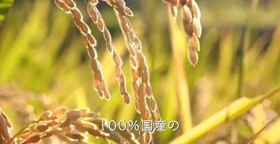 2025y02m17d_103158619