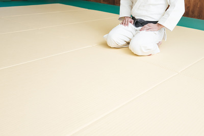 JUDO458A8541_TP_V