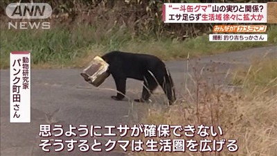 【速報】熊に食べられた新聞配達員、4日前から付け狙われていた 母親に『ナイフ持って行った方がいいかな?』 no title