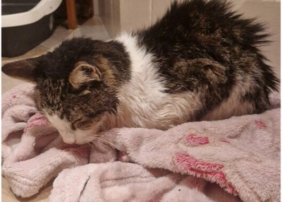 2025y02m03d_094007465