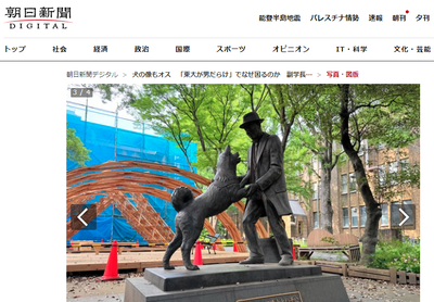 2024y06m09d_100507338