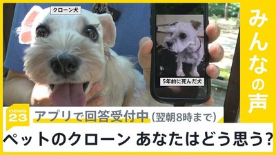 img_1b91899b9ec5fb63766b80d4e758e154180079