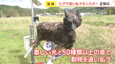 2024y07m05d_222455637