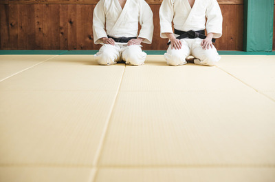 JUDO458A8598_TP_V4