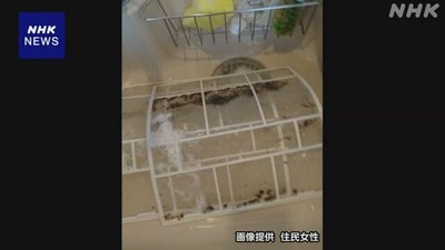 K10014474891_2406081637_0608164839_02_03