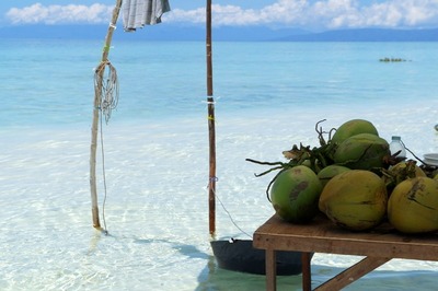 Tr00100420160203171201233