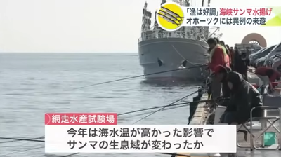 2024y08m16d_145807890