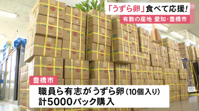 2024y06m25d_084908703