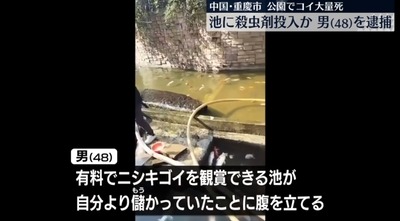 2025y01m14d_095507759