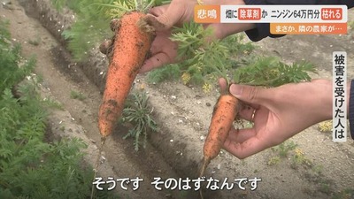 img_cbe2bffa1da8c7c7bce0e07dd8676740261652