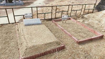 title-1690771829114