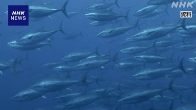 K10014272201_2311291639_1129164930_01_02