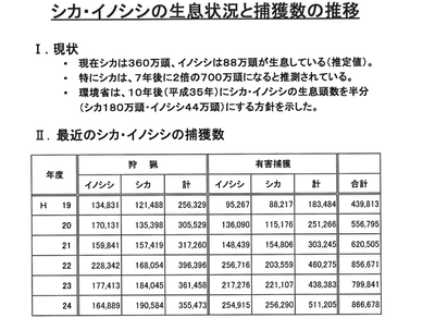 2024y05m25d_125212978