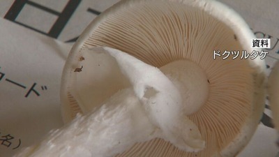 img_ede8b35cf9cbda33c68d344bda9ff0f6140925