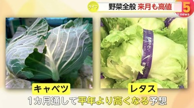 2024y12m28d_074551661