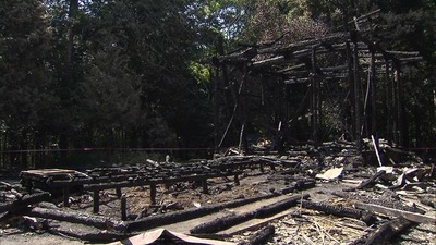 img_7e986d4c41d184276d53ecf444926554367546