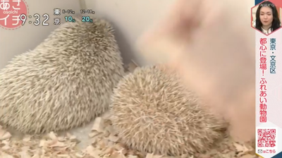 2024y08m27d_122659311