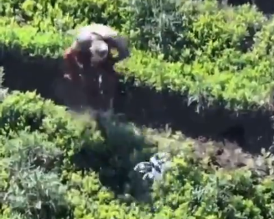 2024y06m23d_185627384