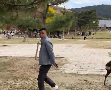 2024y11m29d_081606843