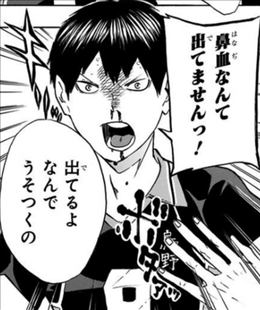 ハイキュー 13巻 感想 条善寺戦決着 三咲さんの喝と別れの言葉に惚れ惚れ 和久南戦開幕 主将 大地さんのピンチ ネタバレ ゲームとマンガの森