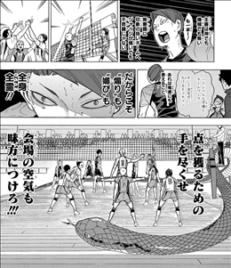 ハイキュー 22巻 レビュー 音駒vs梟谷 決着 戸美高校登場 審判に媚を売っていくスタイル ネタバレ ゲームとマンガの森