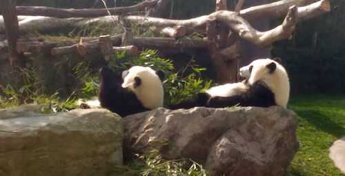 f:id:crycat3:20160228213503j:plain