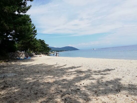 f:id:crycat3:20200903001453j:plain