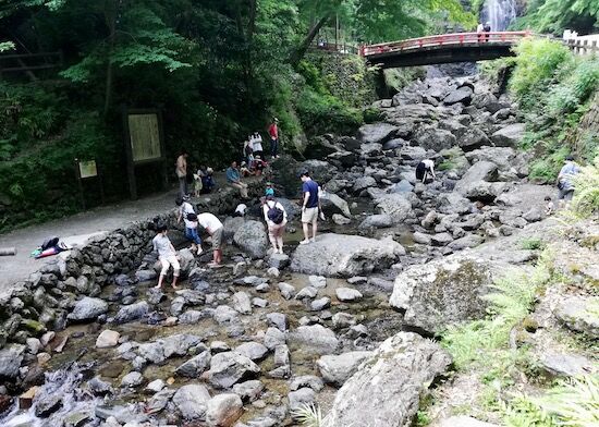 f:id:crycat3:20200610045608j:plain