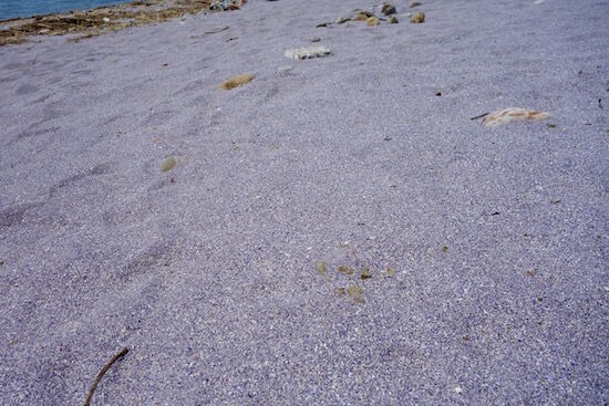 f:id:crycat3:20180513110911j:plain