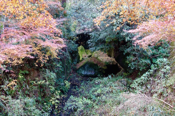 f:id:crycat3:20181129203653j:plain