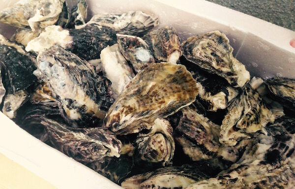 f:id:crycat3:20180225203101j:plain