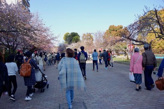 f:id:crycat3:20190409204121j:plain