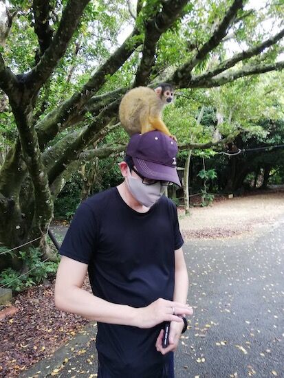 f:id:crycat3:20210421013314j:plain