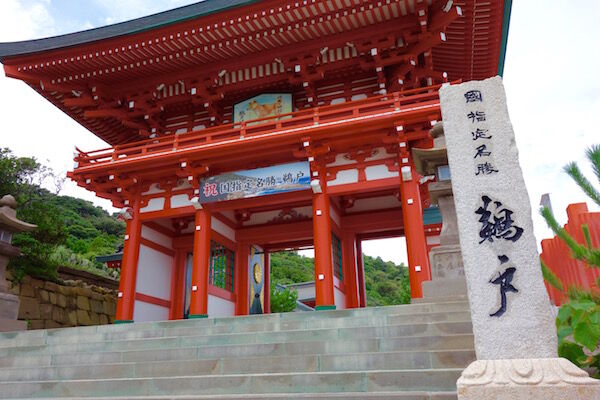 f:id:crycat3:20180907221313j:plain