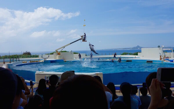 f:id:crycat3:20170921173150j:plain