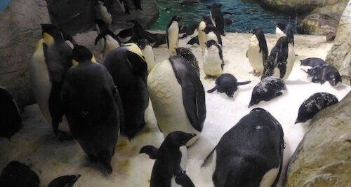 f:id:crycat3:20160228213502j:plain