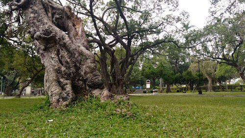 f:id:crycat3:20160122231401j:plain